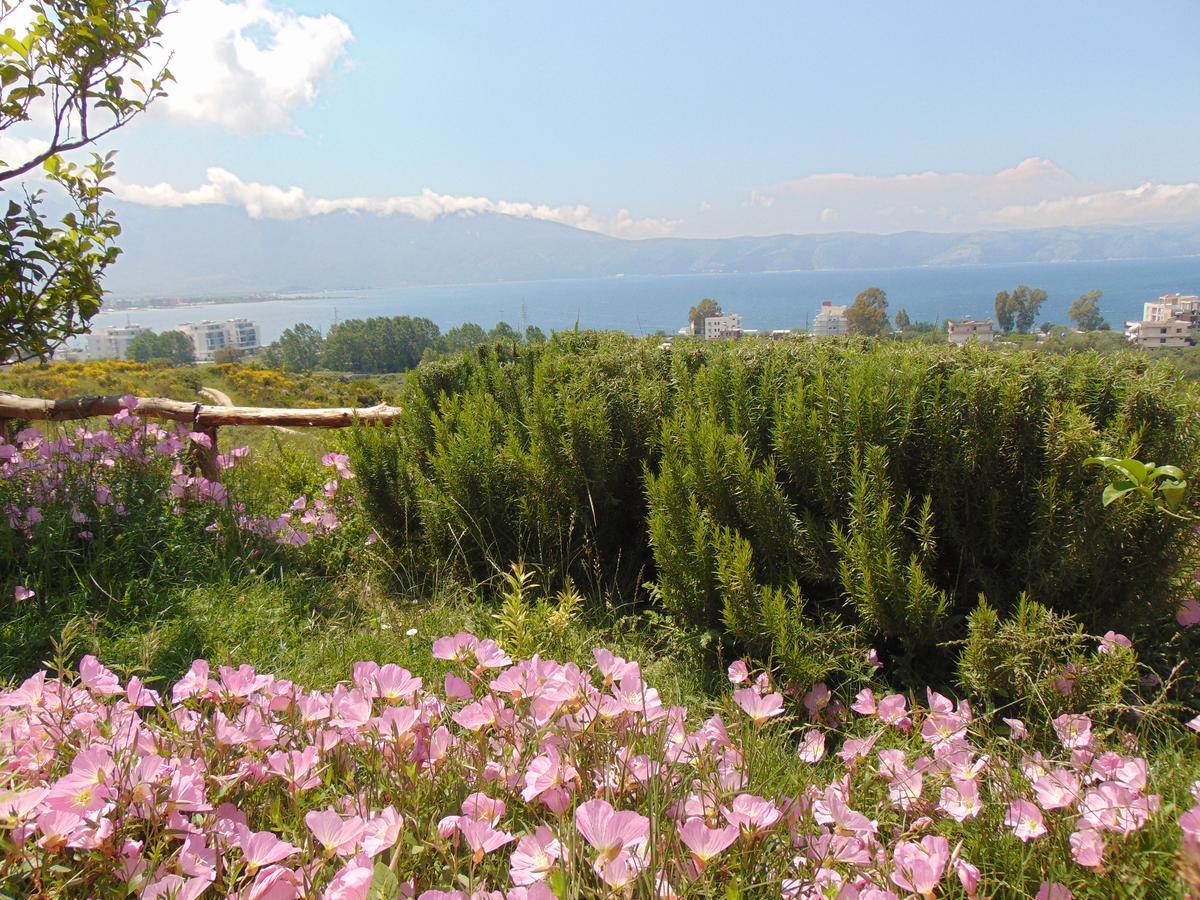 Residence Jazoj Vlorë Esterno foto
