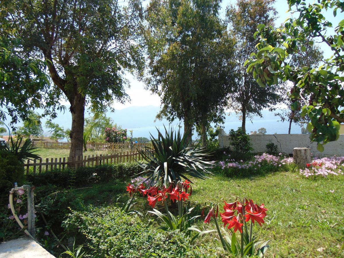 Residence Jazoj Vlorë Esterno foto