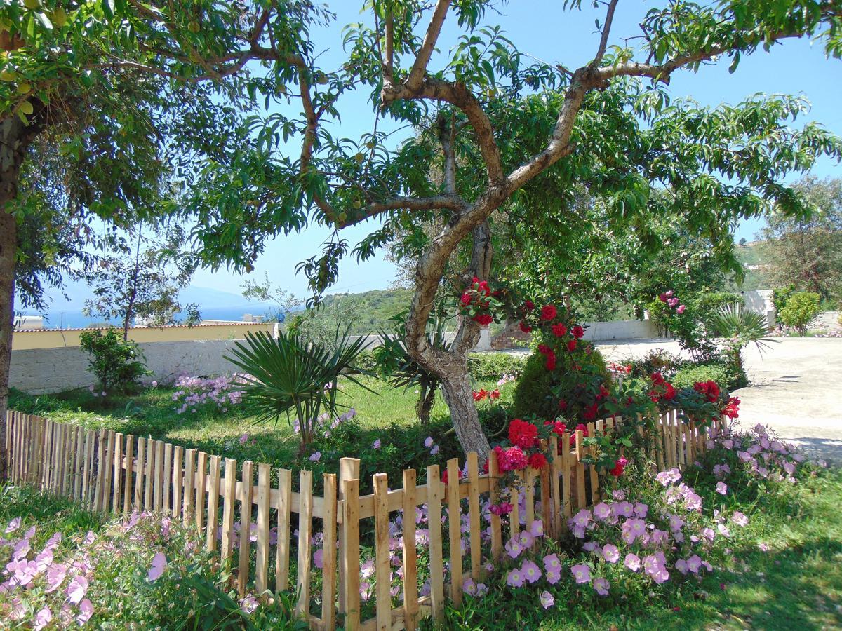 Residence Jazoj Vlorë Esterno foto
